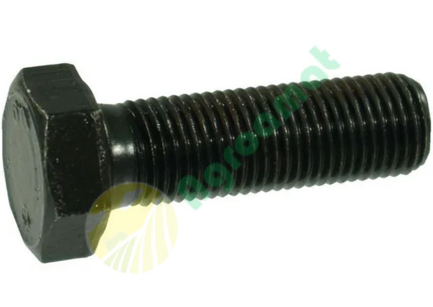Surub M16x65mm