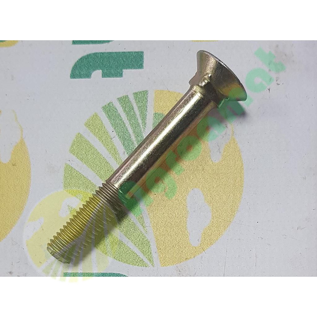 Surub plug cu gat patrat 12x90