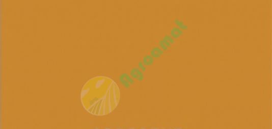 Vopsea galbena Liebherr BMS 1l