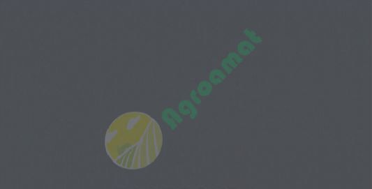 Vopsea gri safir Massey Ferguson 1l