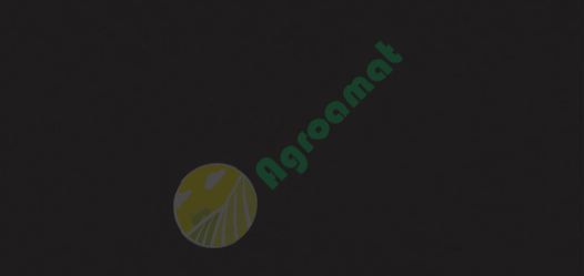 Vopsea neagra lucioasa Massey Ferguson 1l