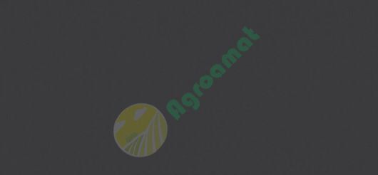 Vopsea uni-gri Massey Ferguson 1979- 1l