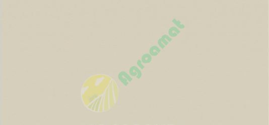 Vopsea bej Manitou 1lpse