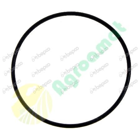 O-Ring