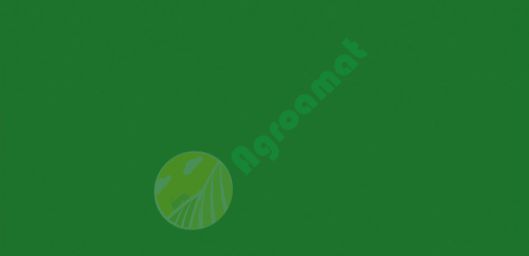 Vopsea verde Marmix 1l