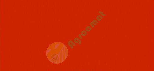 Vopsea rosie sangerie Maschio 2005- 1l