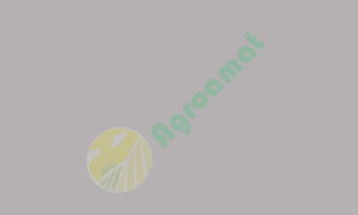 Vopsea gri argintiu Mc Cormick 2008- 1l