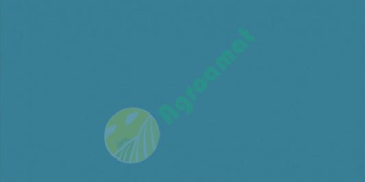 Vopsea albastra Mengele 1l