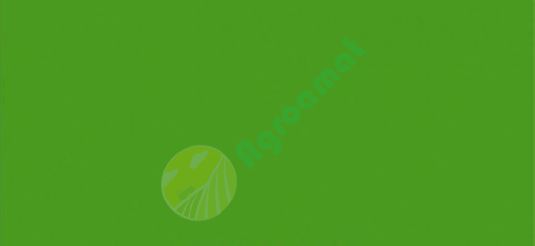 Vopsea verde Merlo 1l