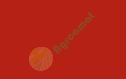 Vopsea rosie  Claas 1l