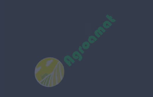 Vopsea gri sasiu New Holland 1l