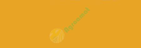 Vopsea galbena New Holland 2000- 1l