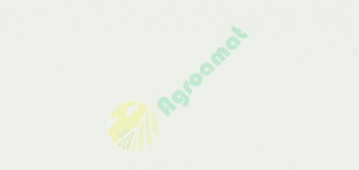 Vopsea alba roti New Holland 1988- 1l