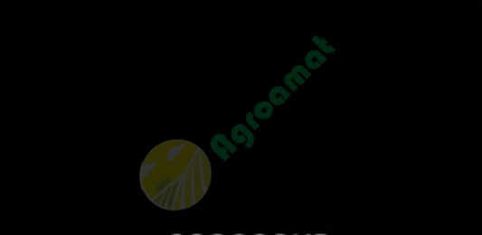 Vopsea neagra mata New Holland 1l