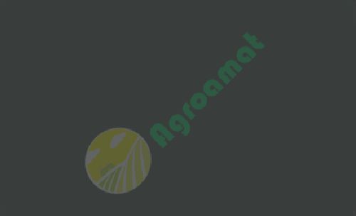 Vopsea agri-gri New Holland 1l