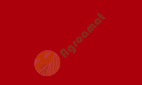 Vopsea rosie Niemeyer 1l