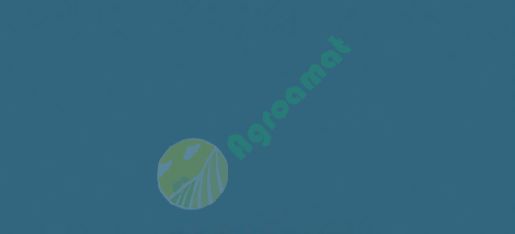 Vopsea albastra Overum 2001- 1l