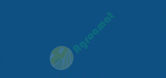 Vopsea albastra Grebla 1l