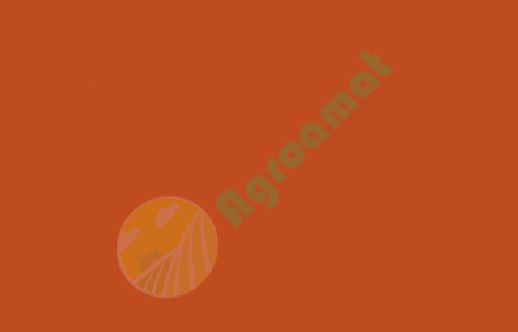 Vopsea portocalie Renault 1l