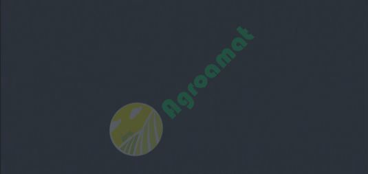 Vopsea gri inchisa Same 1l