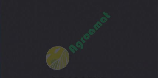 Vopsea gri închis Steyr 1980- 1l