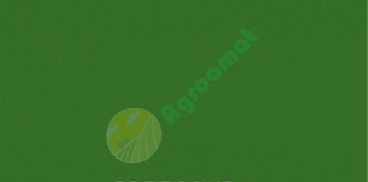 Vopsea verde  Stoll 1989- 1l