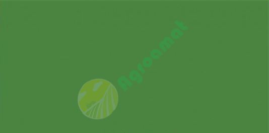 Vopsea verde Strautmann 1994- 1l