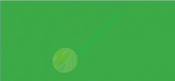 Vopsea verde Tecnoma 1l