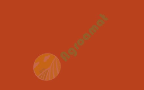 Vopsea rosie Taarup 1l