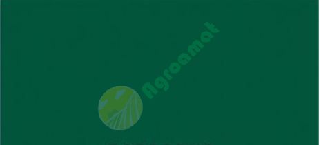 Vopsea verde Vogel &amp; Noot 1l