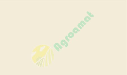 Vopsea alba David Brown 1l