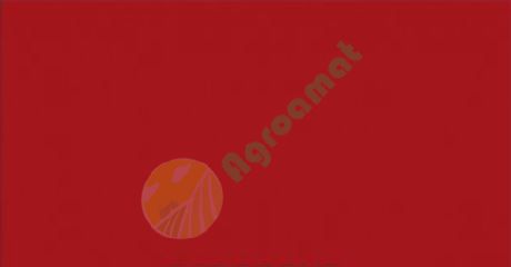 Vopsea rosie Weidemann 2004- 1l