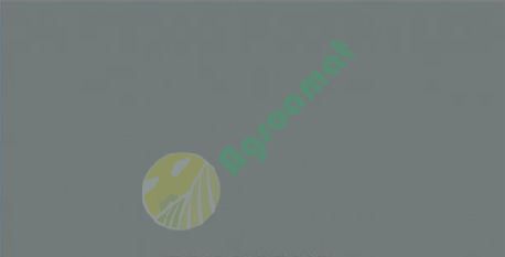 Vopsea gri Welger 1l