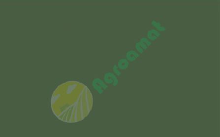 Vopsea verde Welger 1l