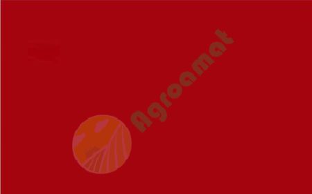 Vopsea rosie Welger 1l