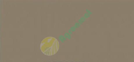 Vopsea bej Zetor beige 1l