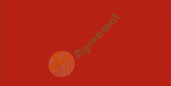 Vopsea portocalie Zetor serie 11 1l