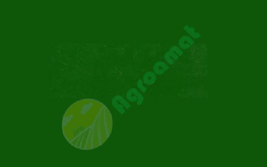 Vopsea verde Deutz-Fahr -1974 1l