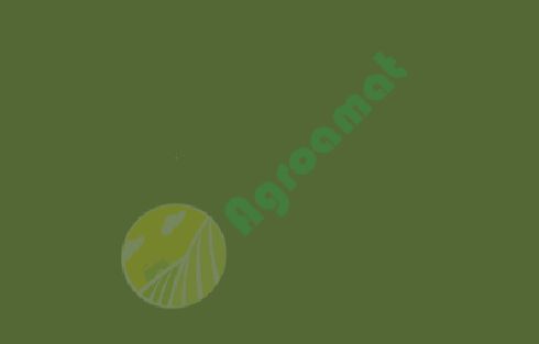 Vopsea verde Amazone 1l