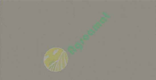 Vopsea gri sasiu  pentru Fendt 1l