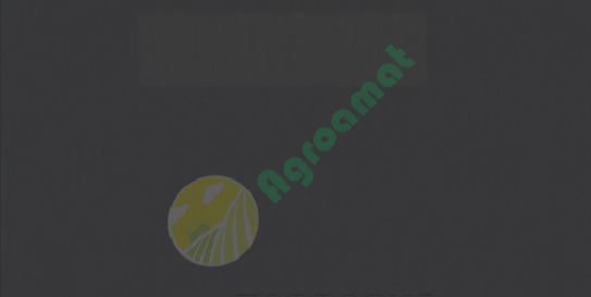 Vopsea gri diamant Fendt 1l