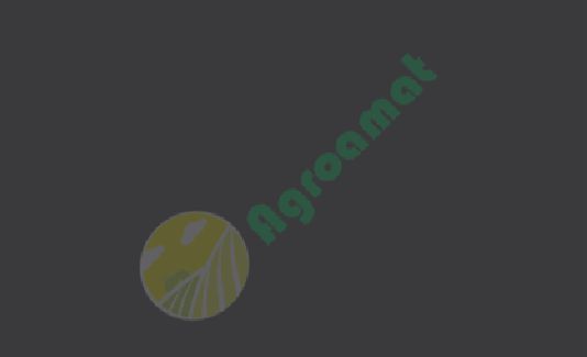 Vopsea gri  Fendt 2005- 1l