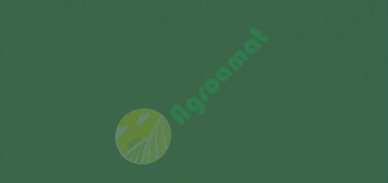 Vopsea verde 1l Fendt