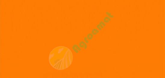 Vopsea portocalie Amazone 1l