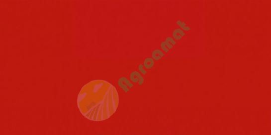 Vopsea rosie  Fendt 1l