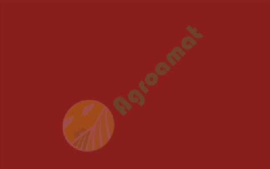 Vopsea maro teracota 1l  Fiat