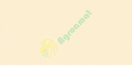 Vopsea alba  Fiat serie 90 1985- 1l