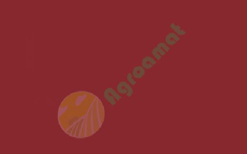 Vopsea rosie IHC XL -1985 1l