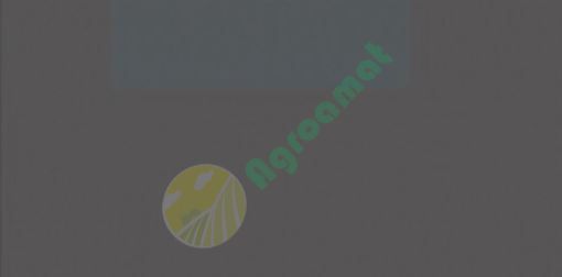 Vopsea gri JCB 1990- 1l