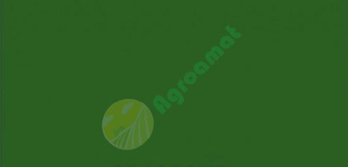 Vopsea verde  John Deere -1987 1l